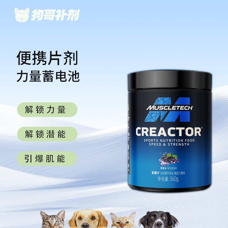 Muscletech肌肉科技肌酸片一水肌酸360g非支链氨基酸 