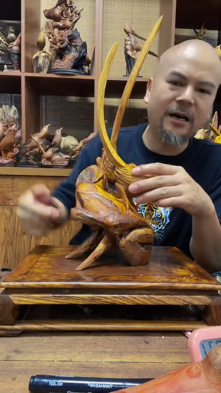 松木王*傲定向 王伯傲