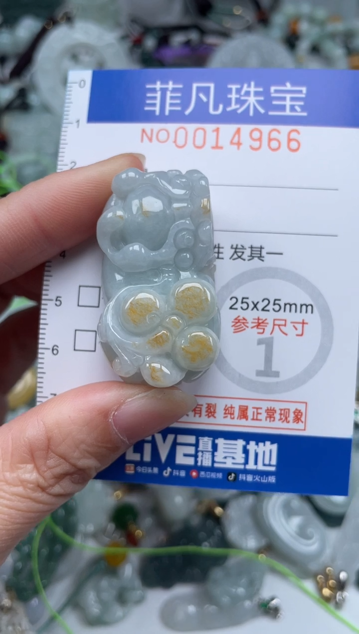 颈饰未镶嵌翡翠14966