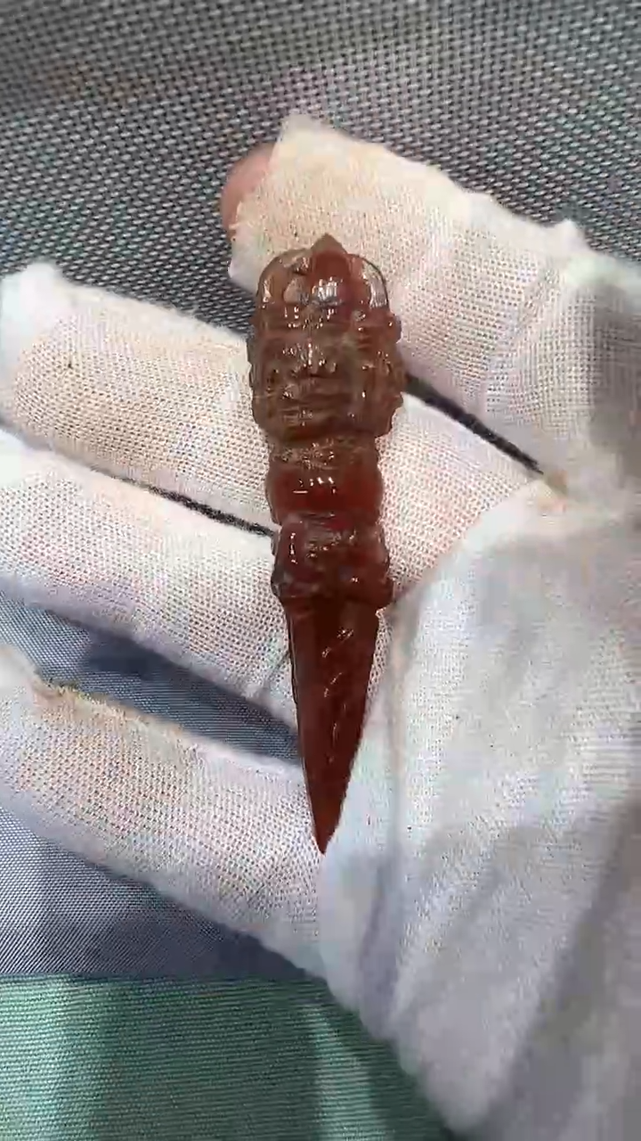 【闪购商品】摆件瓷摆件瓷摆件瓷摆件