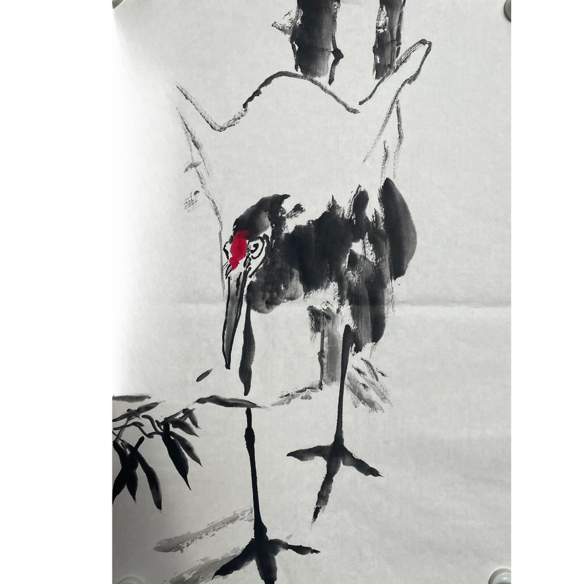 1-1219 花鸟 尺寸68×47cm 纸本软片