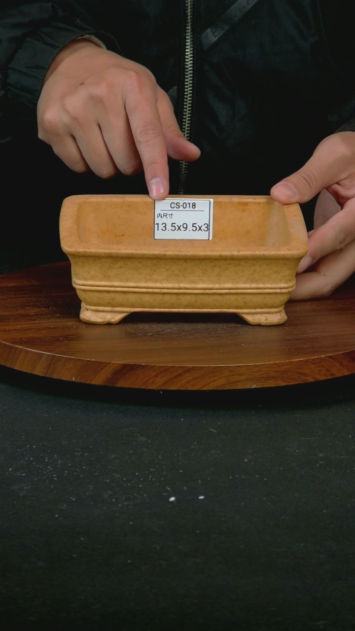 【闪购商品】紫砂O34