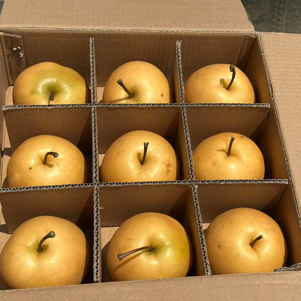 丹东老品种圆黄梨脆甜多汁皮薄细嫩水多当天摘非山东秋月顺丰包邮