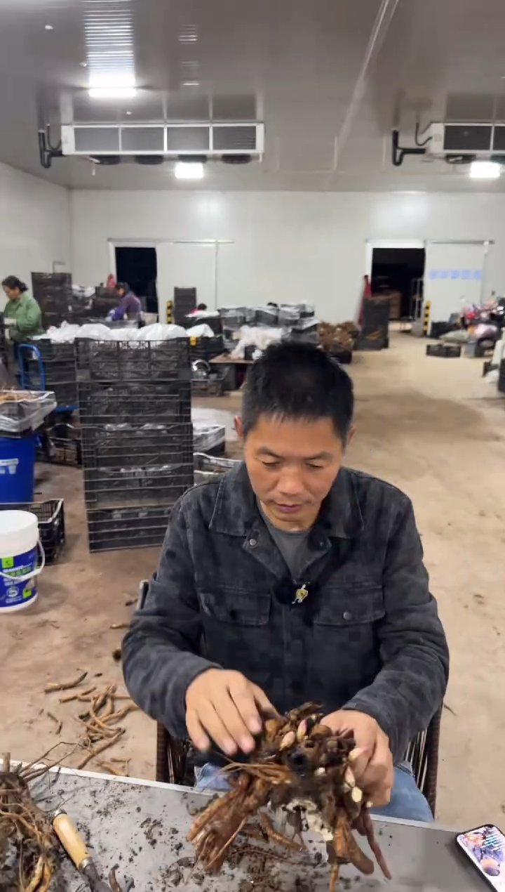 九*九九 九   79  盲盒