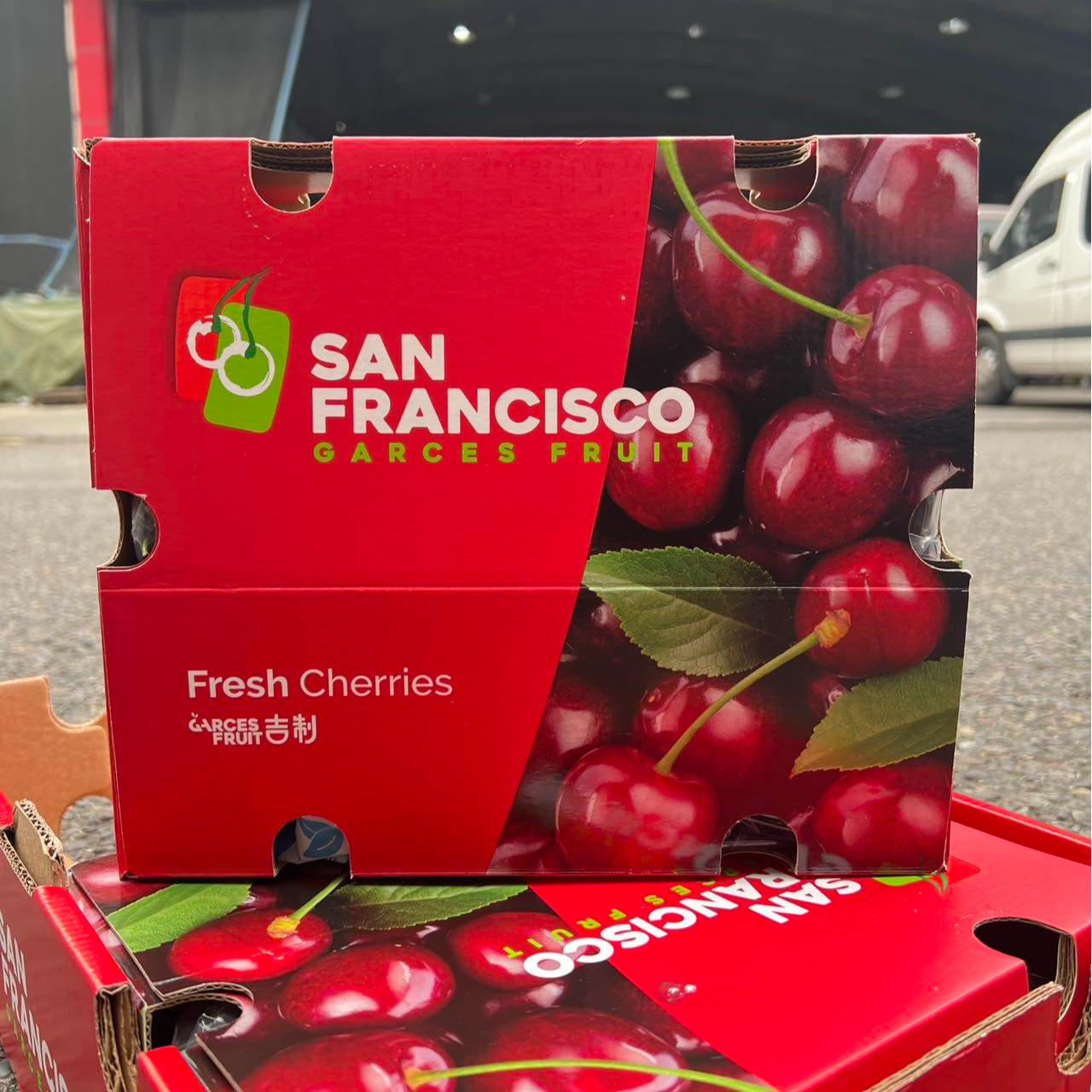 海运智利3J桑提娜车厘子1斤/2斤/5斤只发川渝 内附果径卡