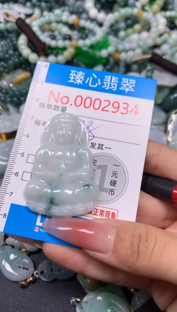 【闪购商品】翡翠颈饰未镶嵌含绳0002934