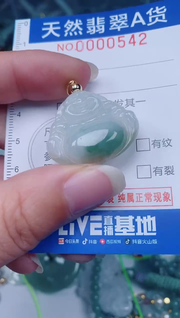 颈饰未镶嵌翡翠00000542