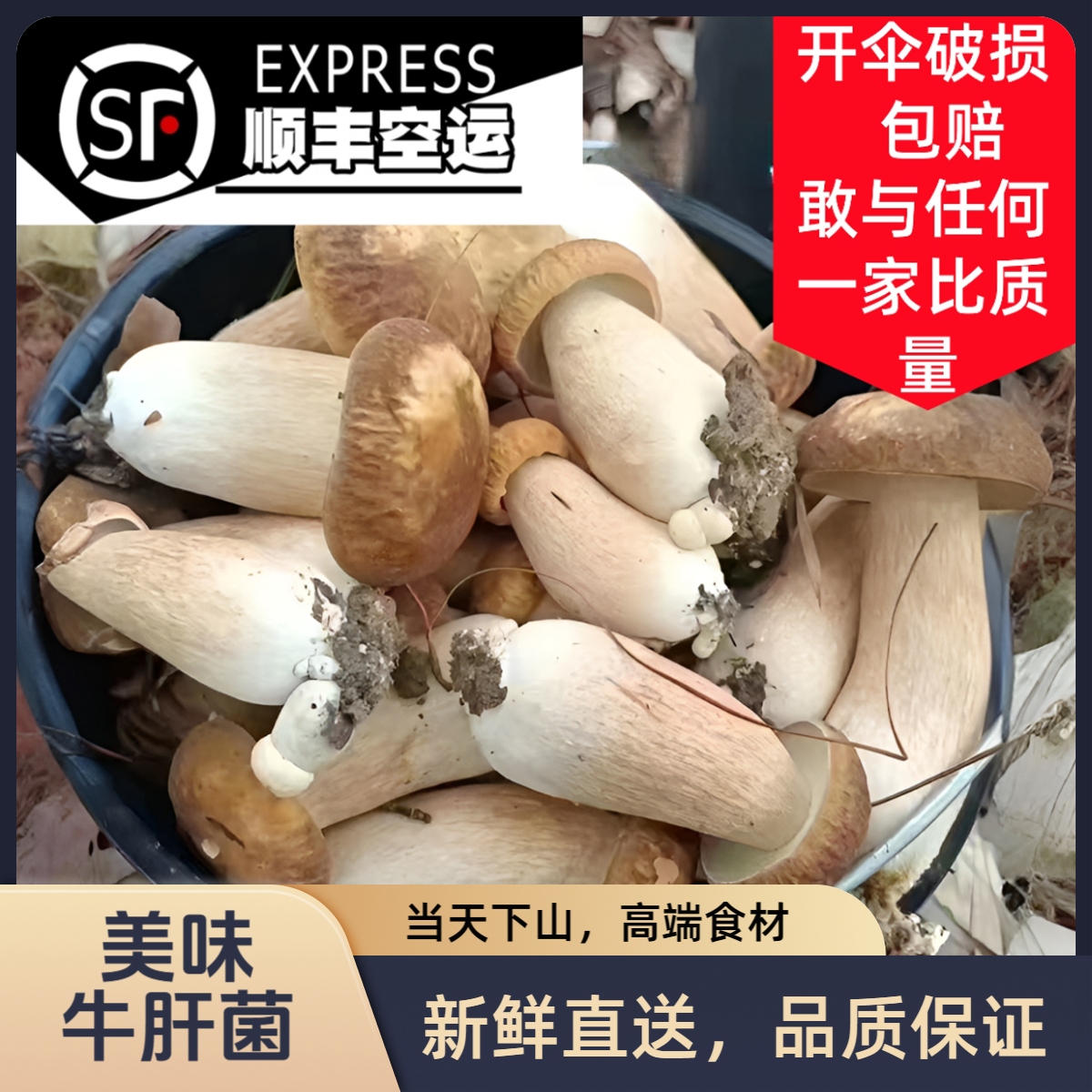 野生鲜美味牛肝菌黄高端食材送礼蘑菇顺丰空运包邮鲜