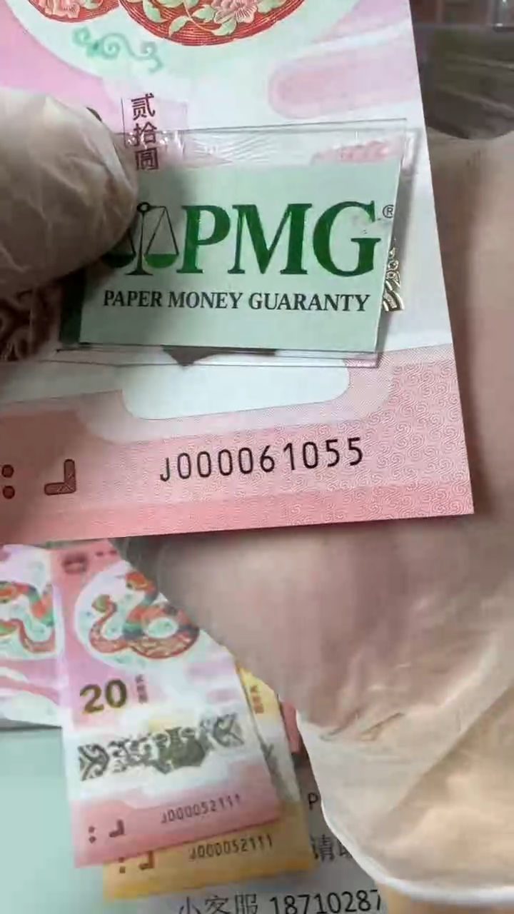 【闪购商品】塑料000061055包PMG67分