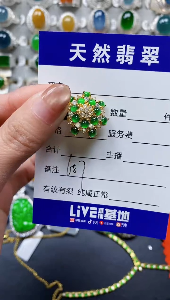 【闪购商品】翡翠颈饰银S925镶嵌0687