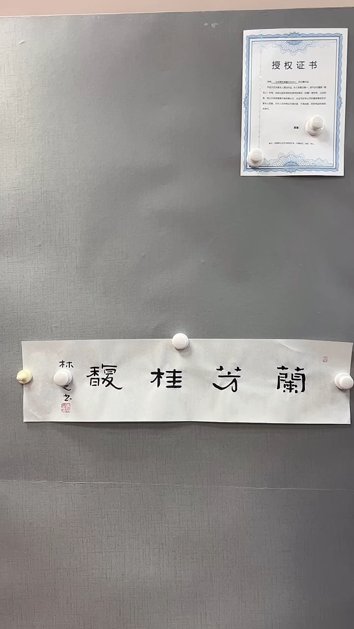 【闪购商品】书法雅艺典藏文化书法