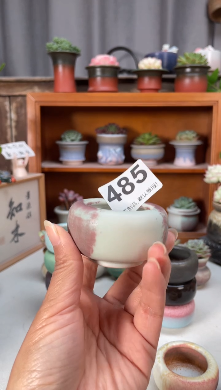 瓷片485小芳直播编号