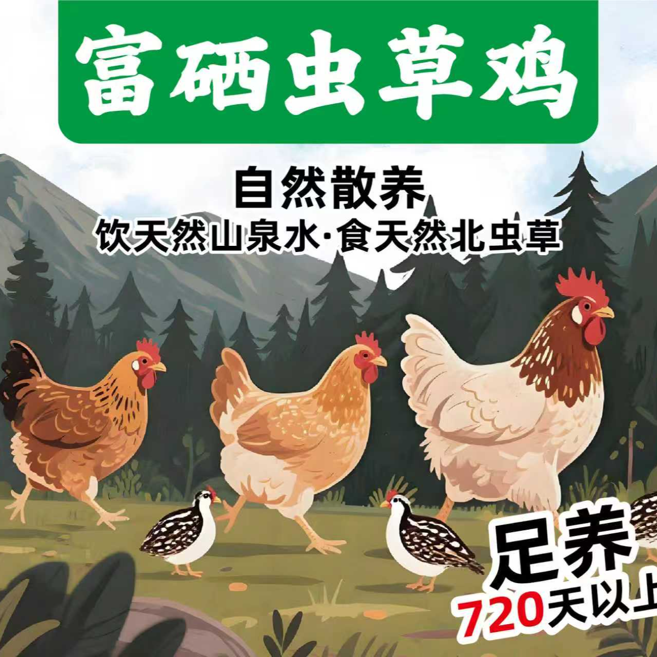 虫草鸡营养丰富健康