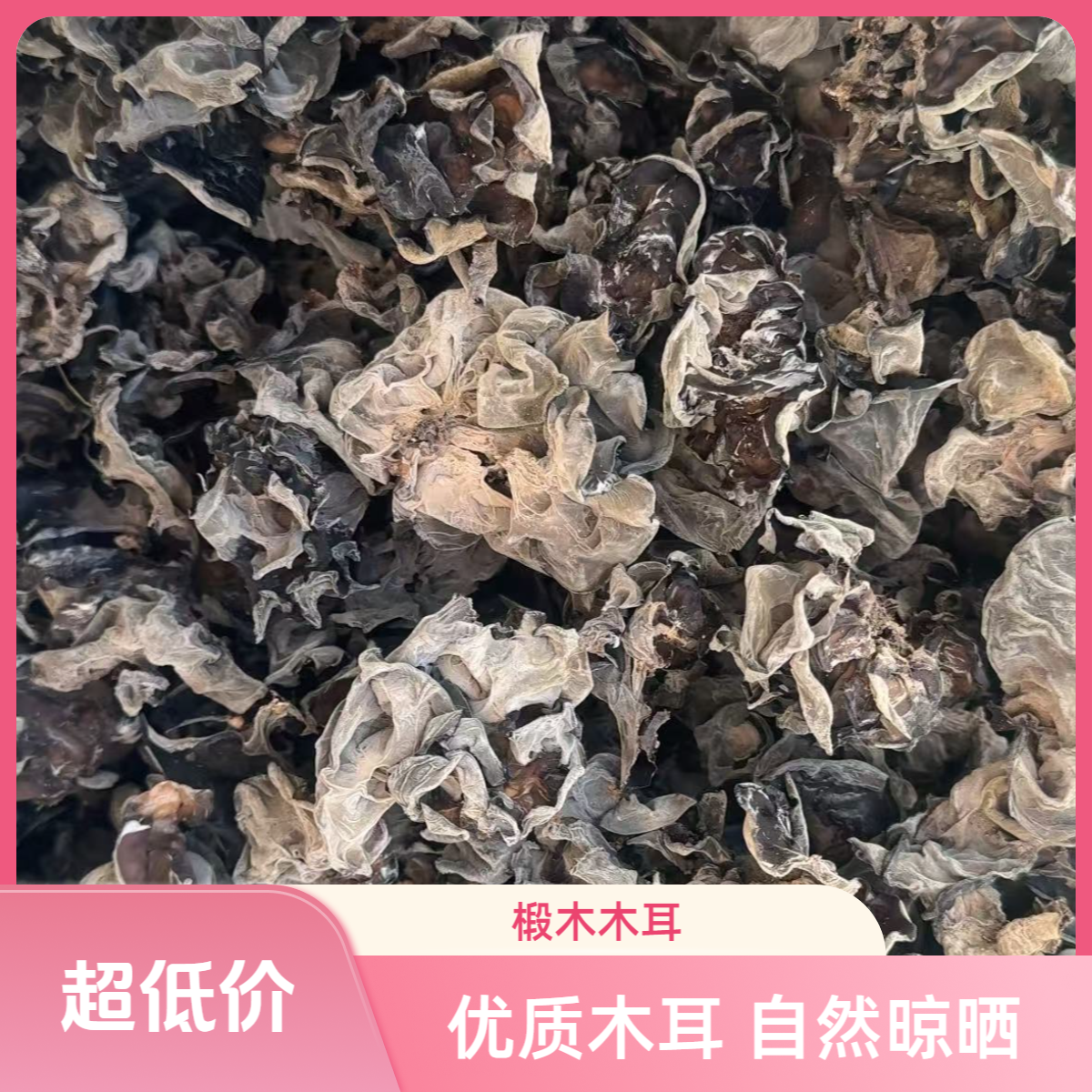 黑木耳干货椴木秋木耳人工种植软糯200g包邮凉拌秦岭山特产