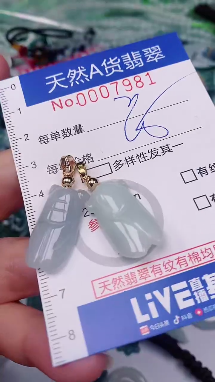 【闪购商品】翡翠颈饰未镶嵌00007981