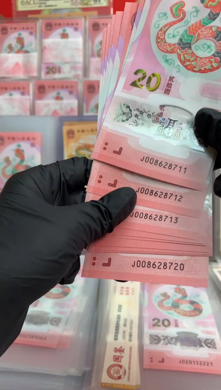 【闪购商品】塑料2025蛇钞  十连号【随机号码】无4
