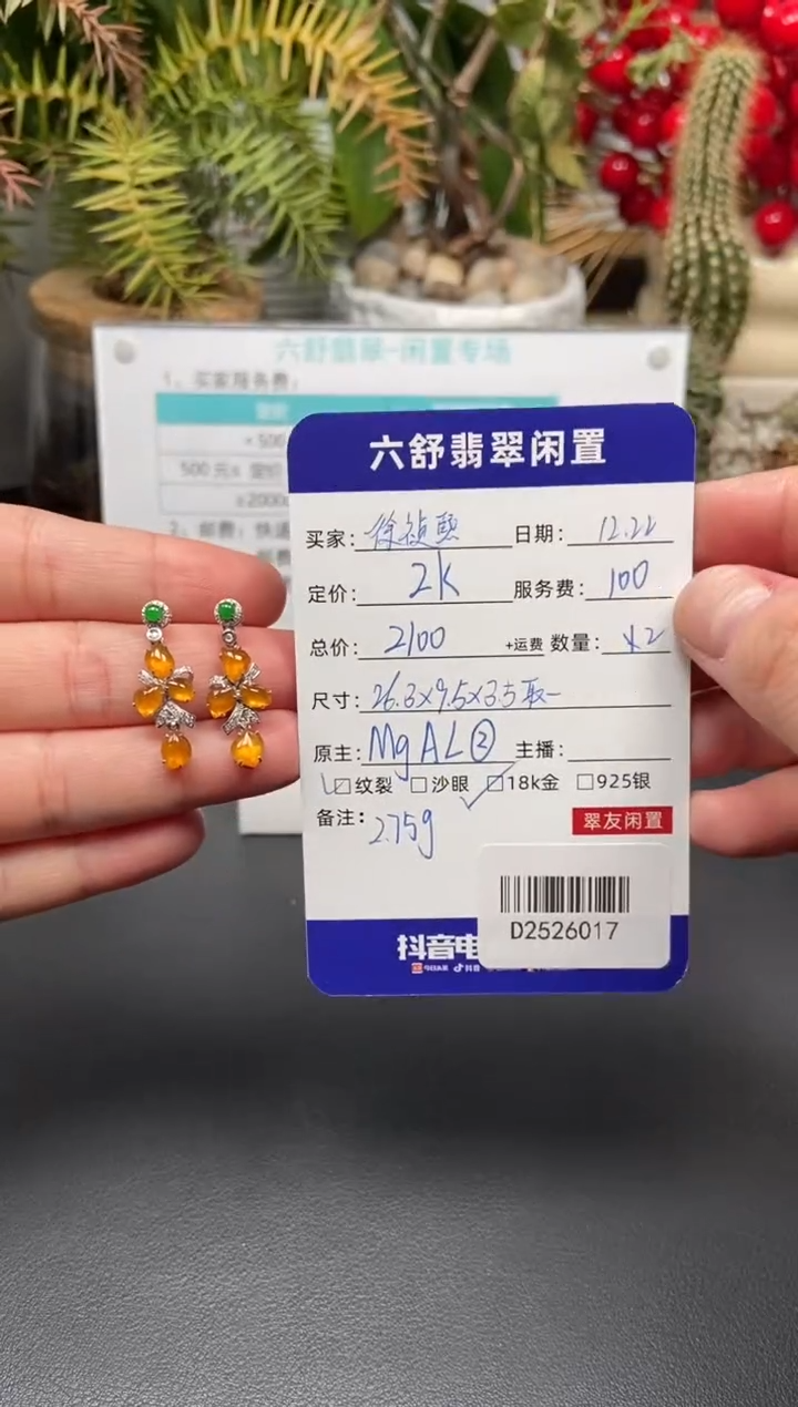 18K金镶嵌翡翠耳饰徐*熙D2526017