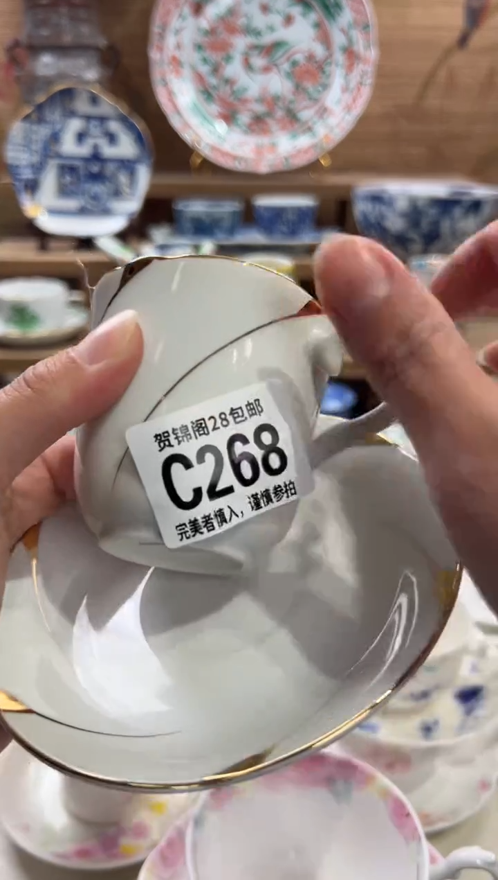 瓷片一       C268