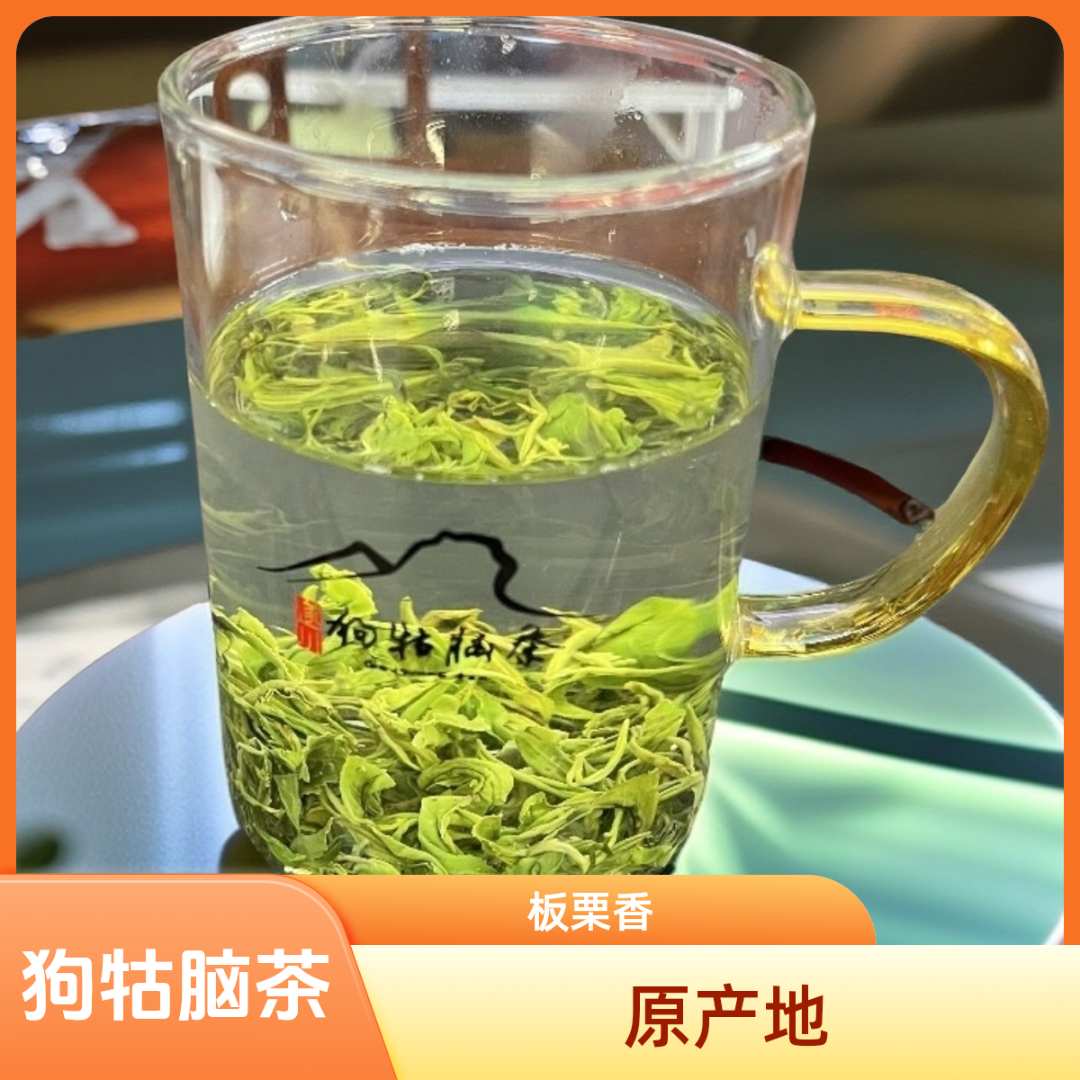 2025新茶  正宗春茶狗牯脑茶  江西遂川狗牯脑高山云雾茶  浓香型