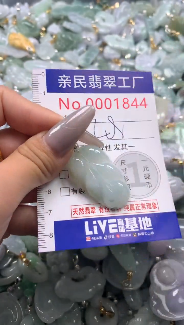 颈饰未镶嵌翡翠1844