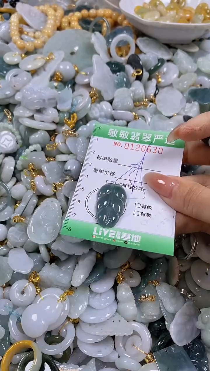 【闪购商品】翡翠颈饰未镶嵌闪购0120630多样性发其一