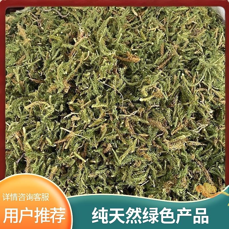 精选伸筋草 狮子尾 舒筋草 新货品质自然晾晒保证煲汤泡水泡酒