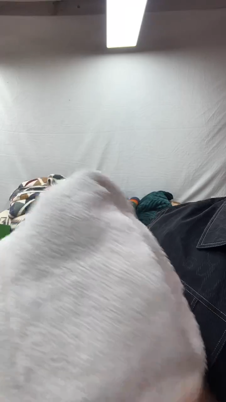 聚酯纤维1.5*2.0颗粒羊绒