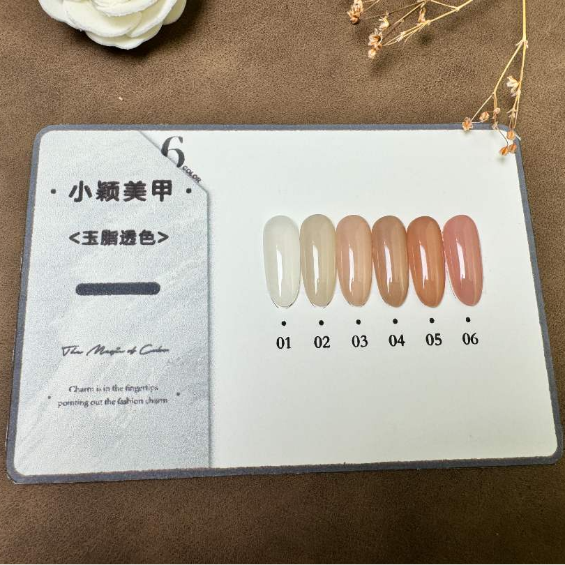 2025新款美甲玉脂透色小套6支装美甲流行色裸色甲油胶