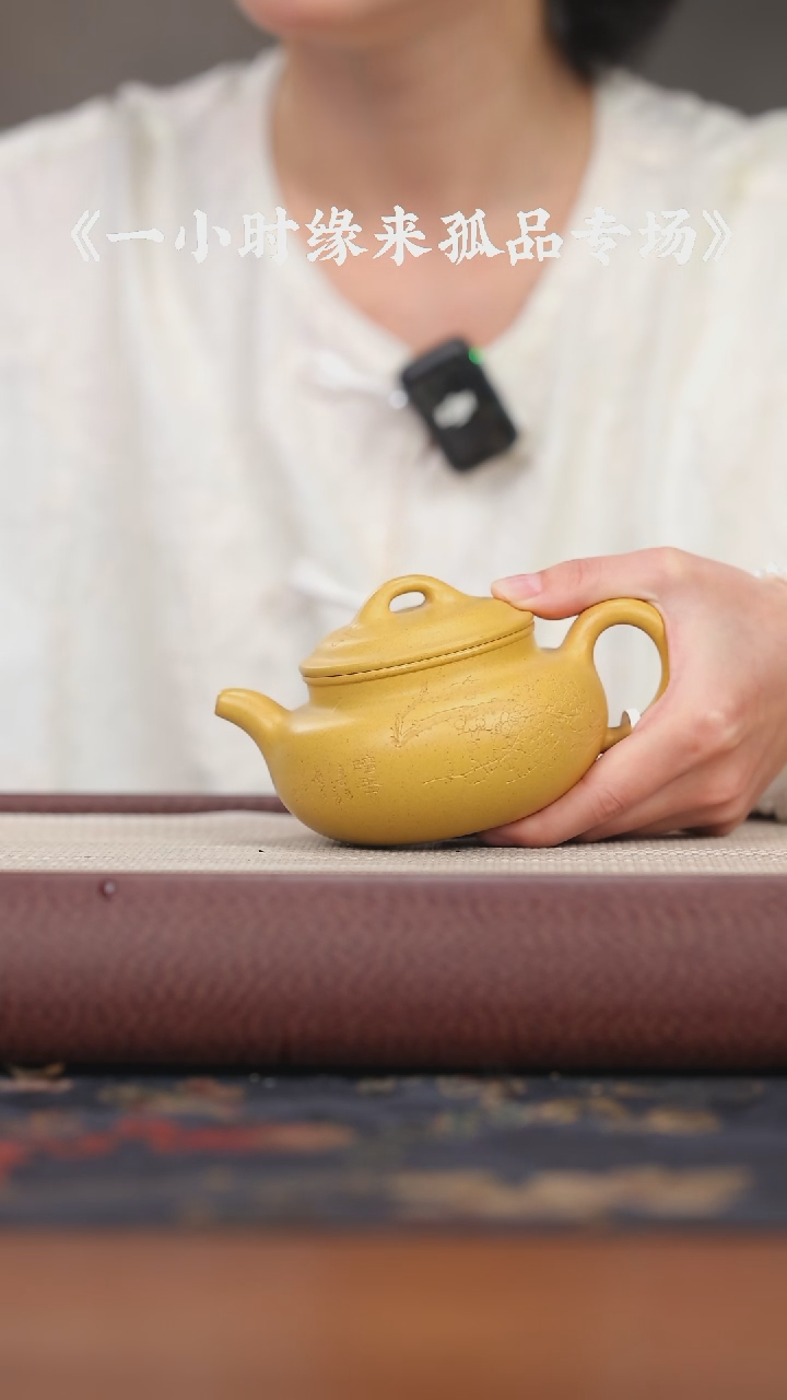 【闪购商品】紫砂茶壶孤品紫砂壶29