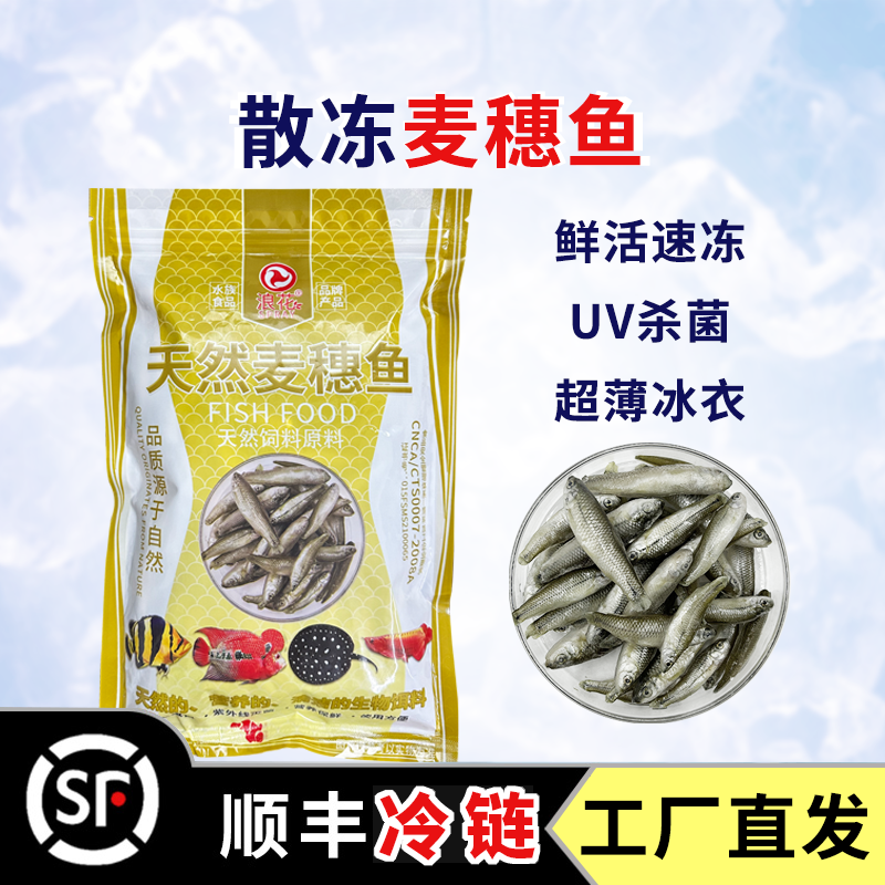 【麦穗鱼】单冻麦穗鱼缓沉型散装龙鱼虎鱼魟大型鱼观赏鱼食专用饵料