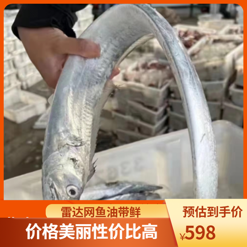 舟山雷达网带鱼油带现称现拍一斤以上一条五斤包邮深海鱼