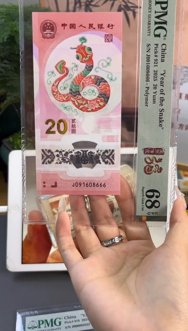 塑料蛇钞倒置PMG68分尾8666