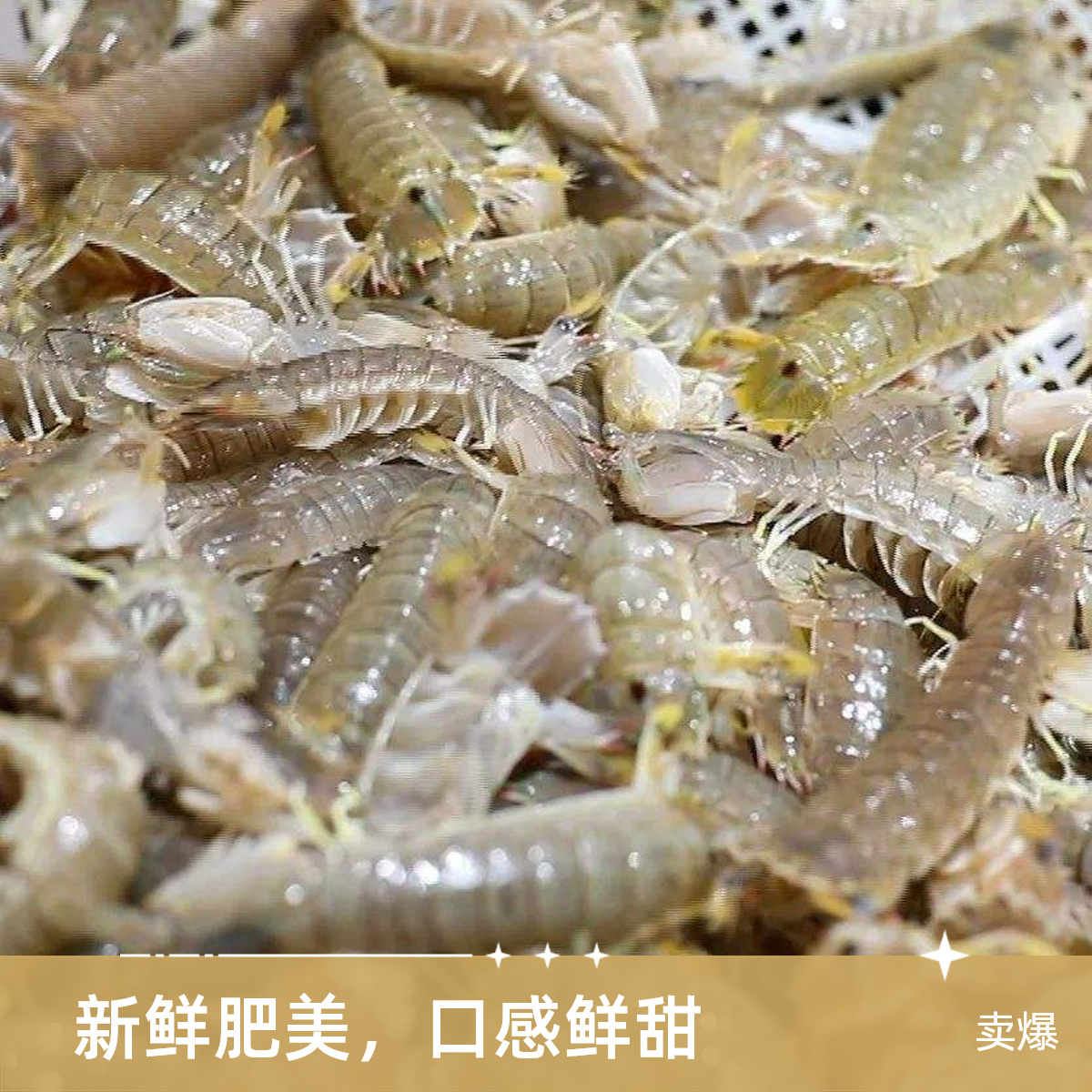 鲜活皮皮虾15-20条大小