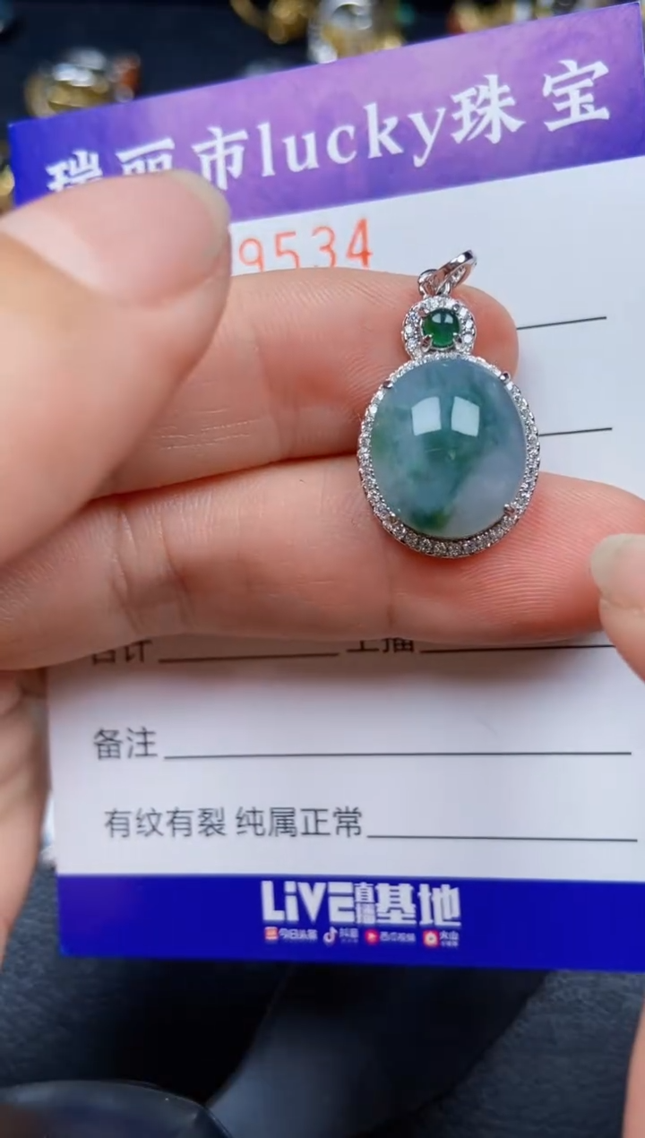 【闪购商品】翡翠颈饰银S925镶嵌9534