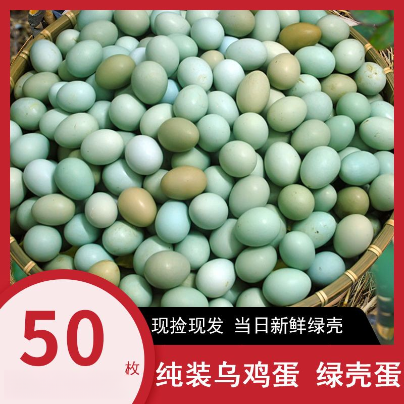 【助农】50个正宗绿壳鸡蛋乌鸡蛋青壳鸡蛋自产新鲜农产品农家散养蛋