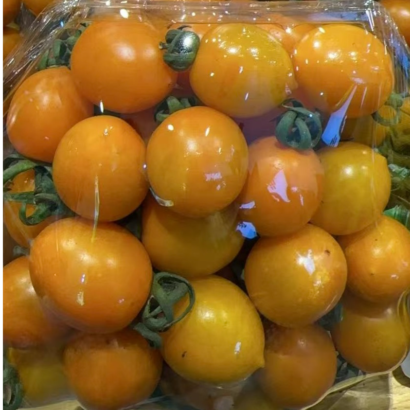黄金圣女果 迷你小番茄盒装1.2斤番茄同城送番茄上海市
