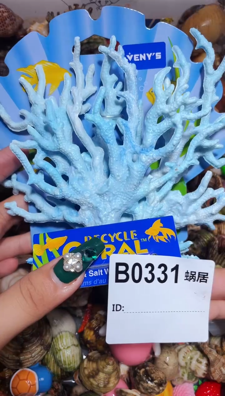 陌派甄选寄居蟹0331