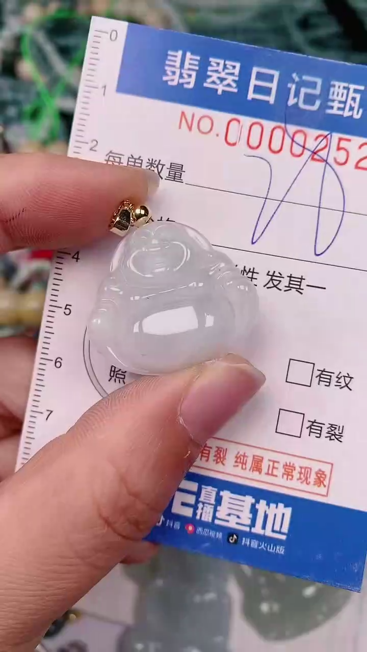 【闪购商品】翡翠颈饰未镶嵌00000252