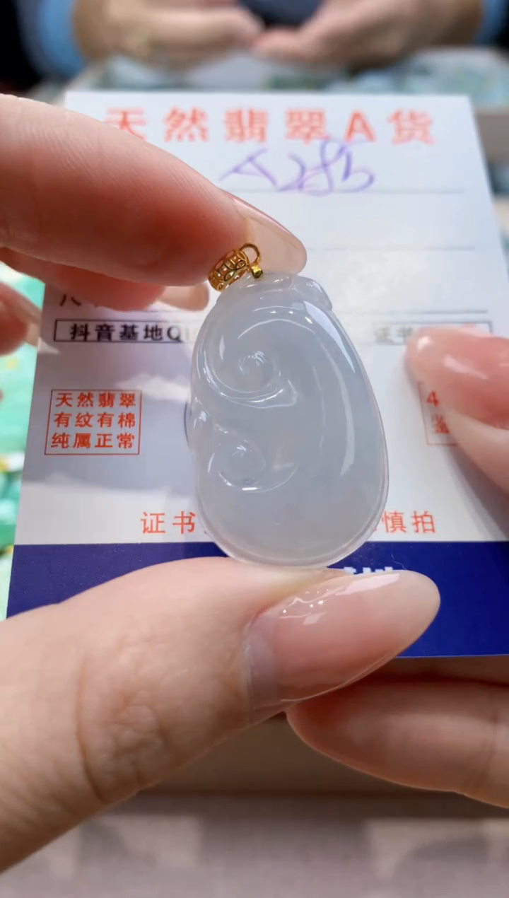 颈饰未镶嵌翡翠天然翡翠挂件