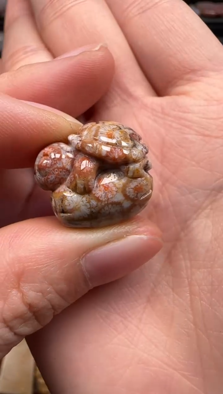 【闪购商品】硅化珊瑚（珊瑚玉）颈饰未镶嵌438