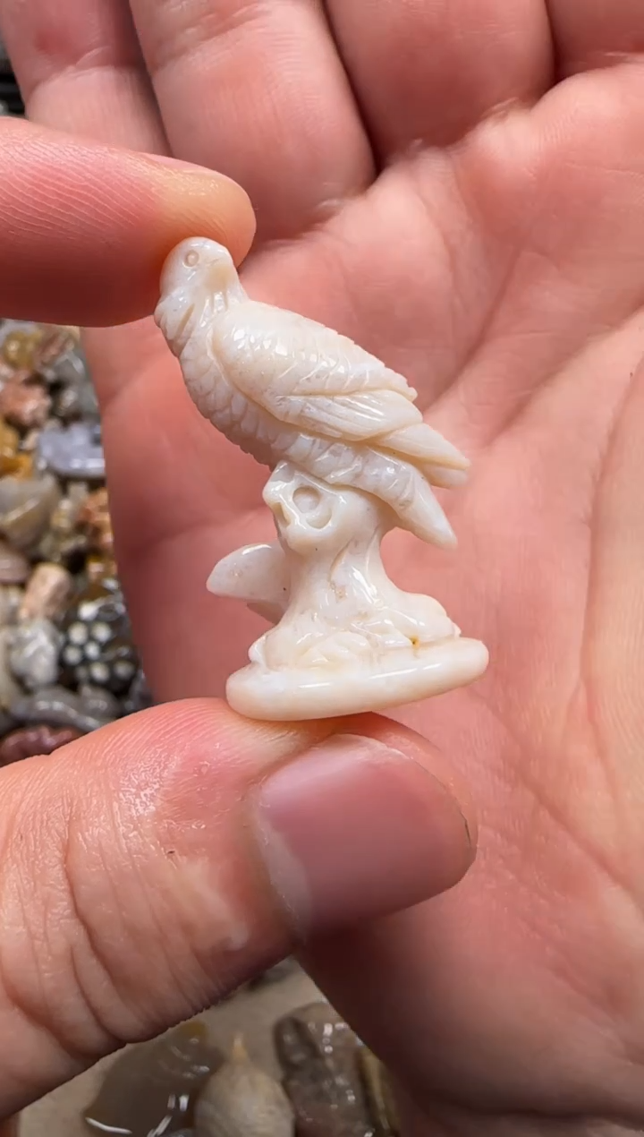 【闪购商品】硅化珊瑚（珊瑚玉）颈饰未镶嵌547