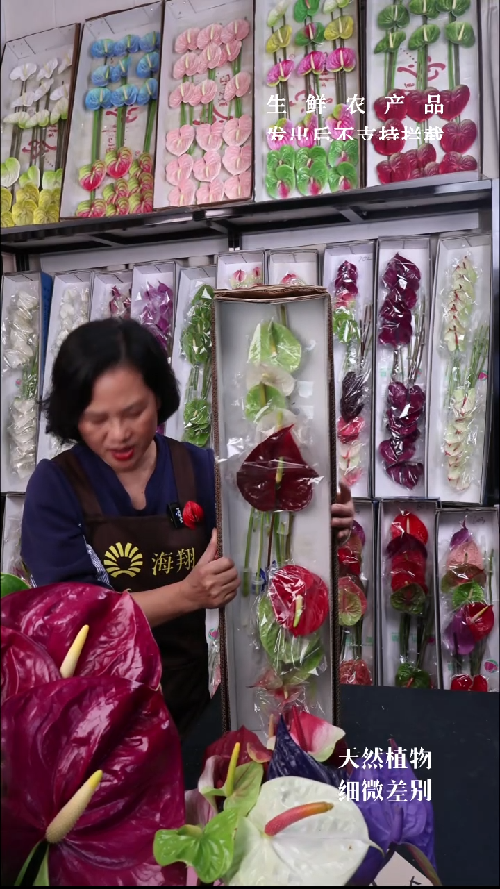 混色彩掌10支如图，福利放漏微瑕无售后