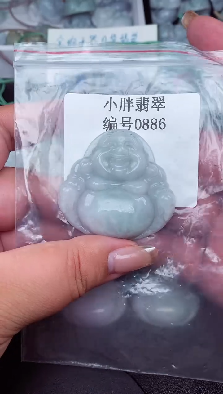 翡翠未镶嵌颈饰缅甸天然A货翡翠0886