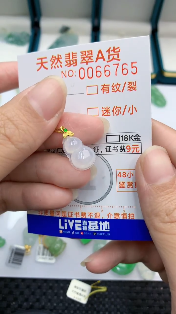 【闪购商品】翡翠颈饰18K金镶嵌            8