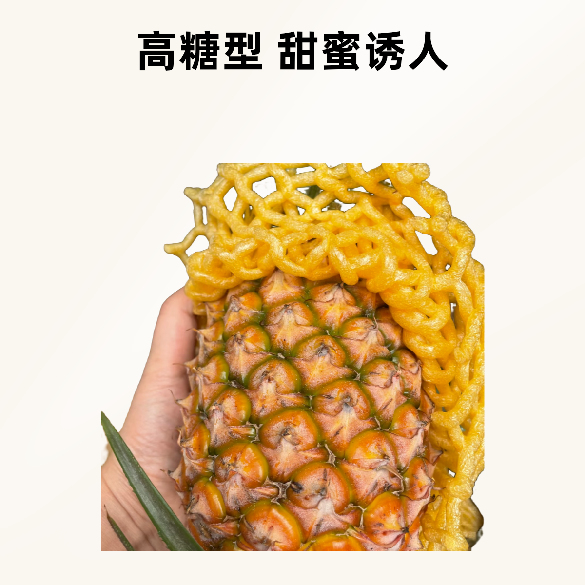海南金钻凤梨（袋装）