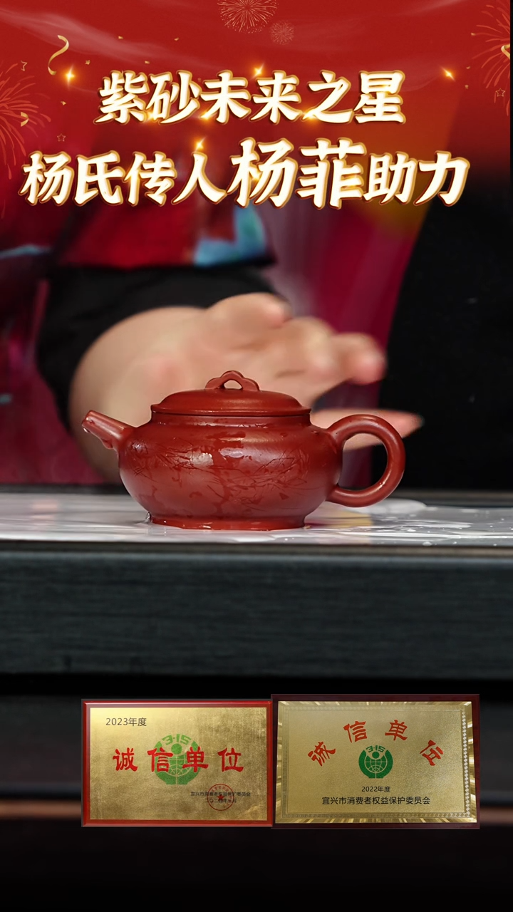 【闪购商品】紫砂茶壶28 杨菲老师专场  彭年朱泥