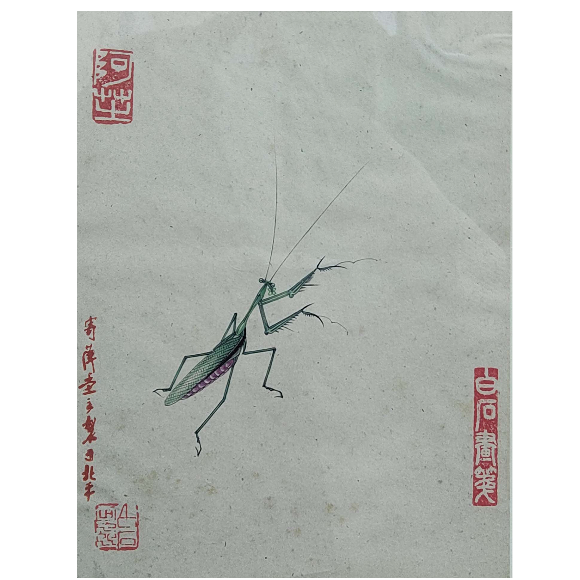 《草虫》镜框—cg235300025——17X22 