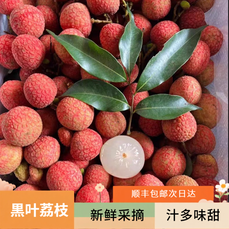 C【顺丰包邮】新鲜采摘大荔枝 应季新鲜水果 香甜肉厚汁水多 4斤装荔枝同城送