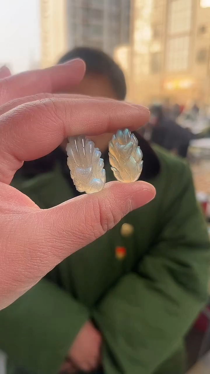 【闪购商品】月光石吊坠(赠链)未镶嵌天然灰月光多样性发一