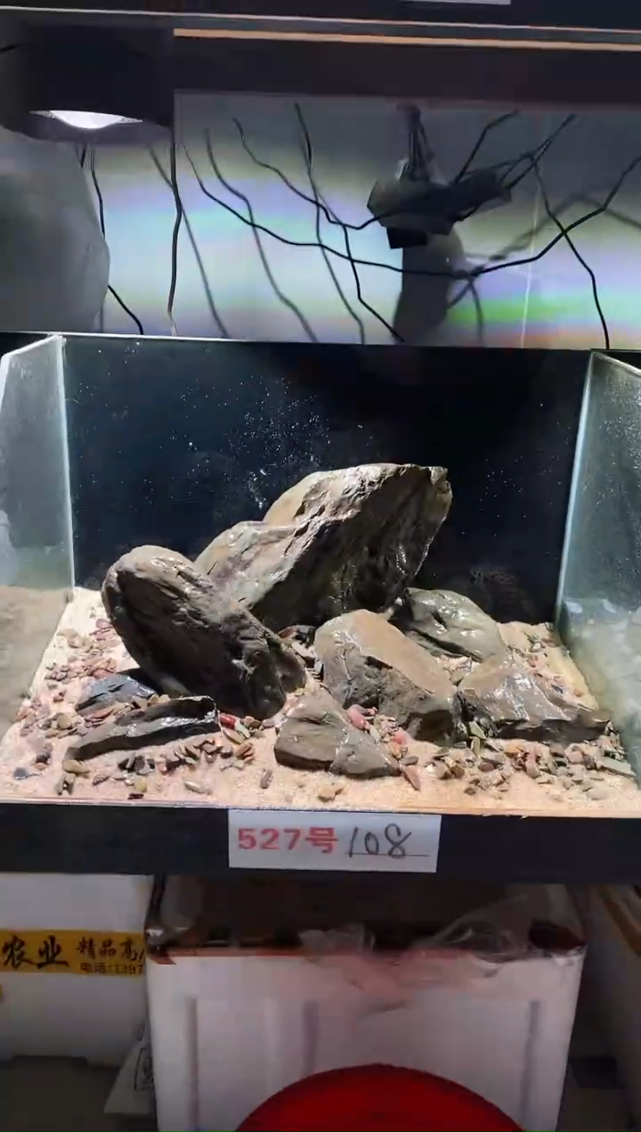 527号鱼缸造景（不含底砂）